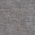 HT0080 var.9